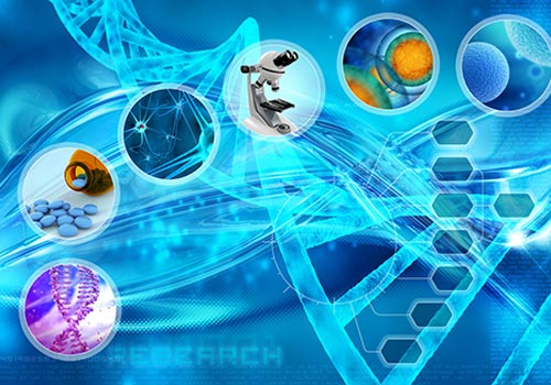 Physical & Life Sciences
